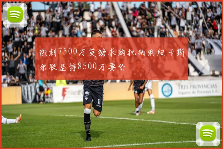 热刺7500万英镑求购托纳利纽卡斯尔联坚持8500万要价