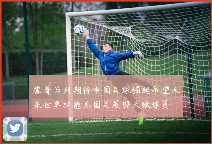 蒙哥马利期待中国足球崛起希望未来世界杯能见国足展现天赋球员
